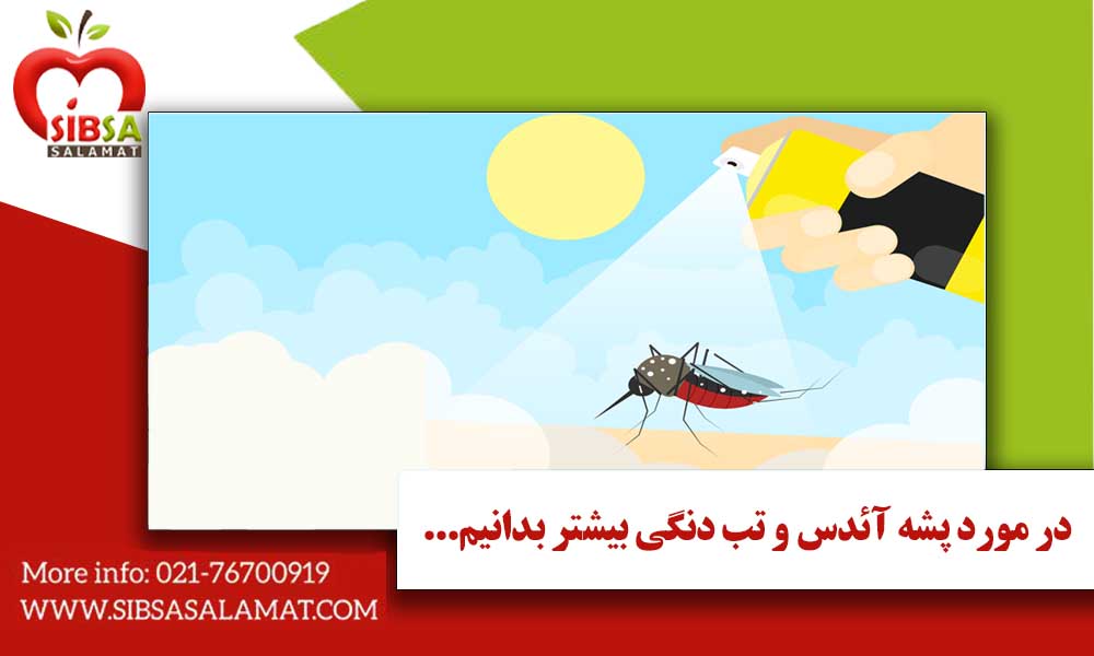 در مورد پشه آئدس و تب دنگی بیشتر بدانیم