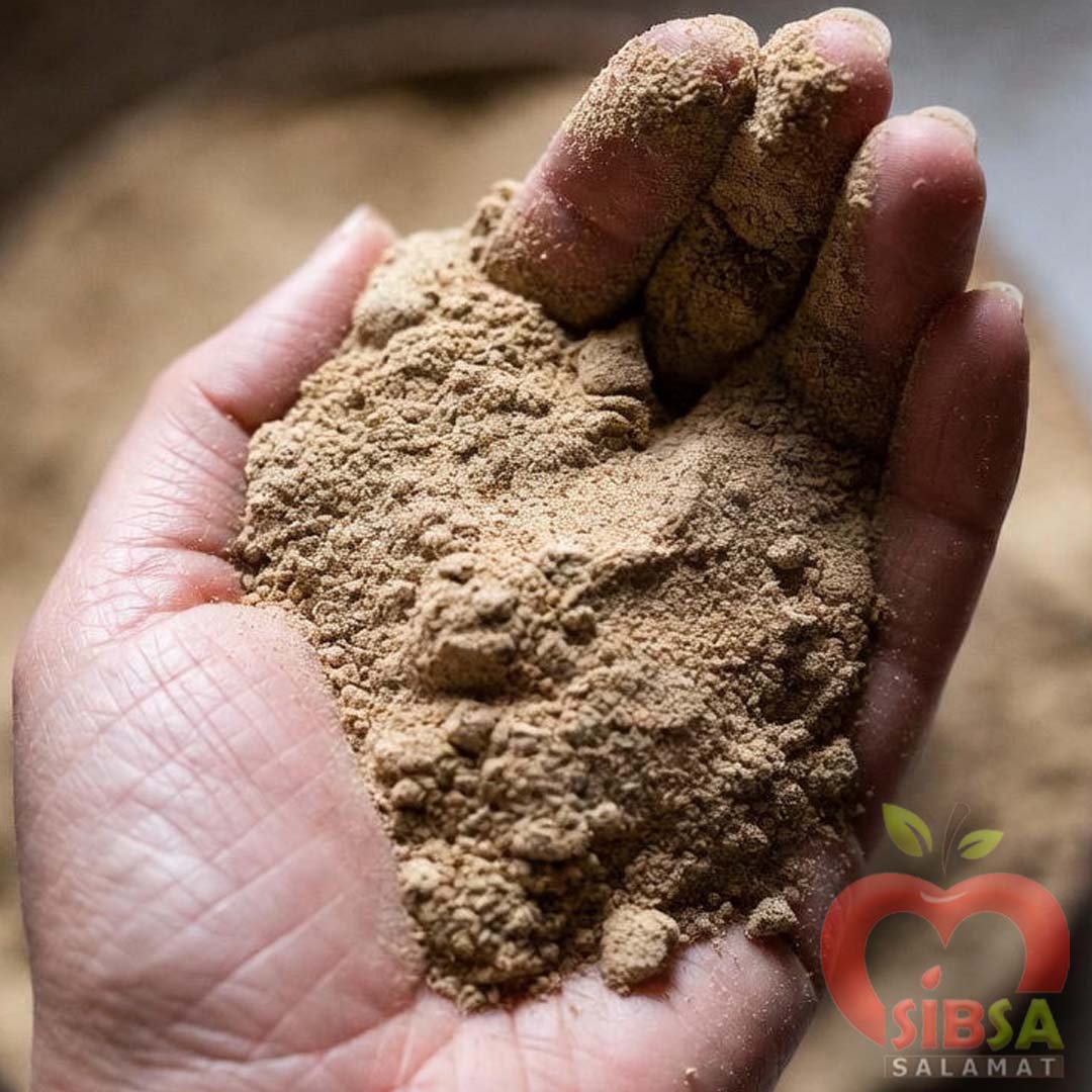 Lentil powder Lentil powder