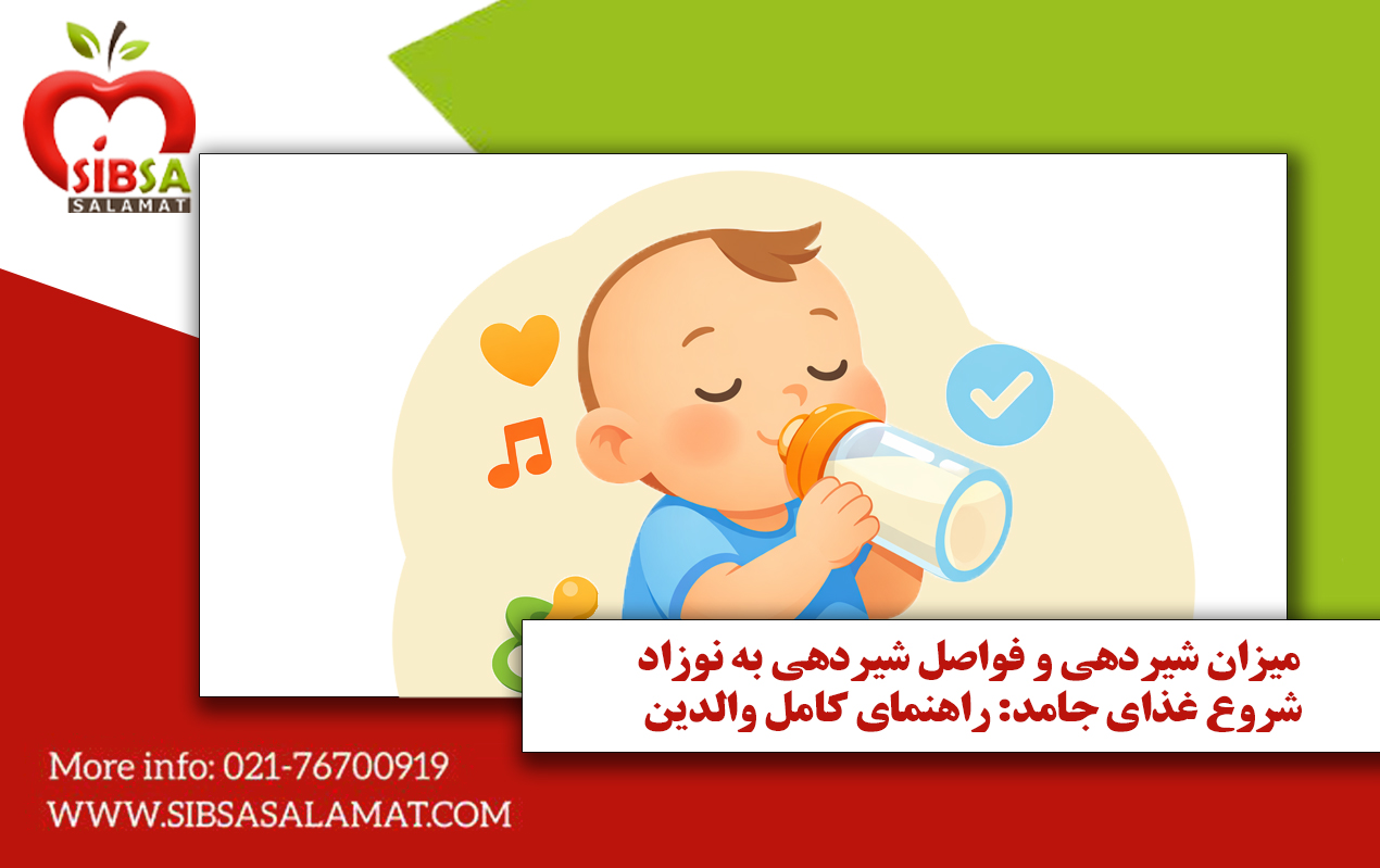میزان شیردهی و فواصل شیردهی به نوزاد، شروع غذای جامد: راهنمای کامل والدین